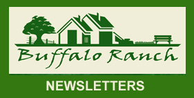 A green and white logo for the buffalo ranch newsletter.