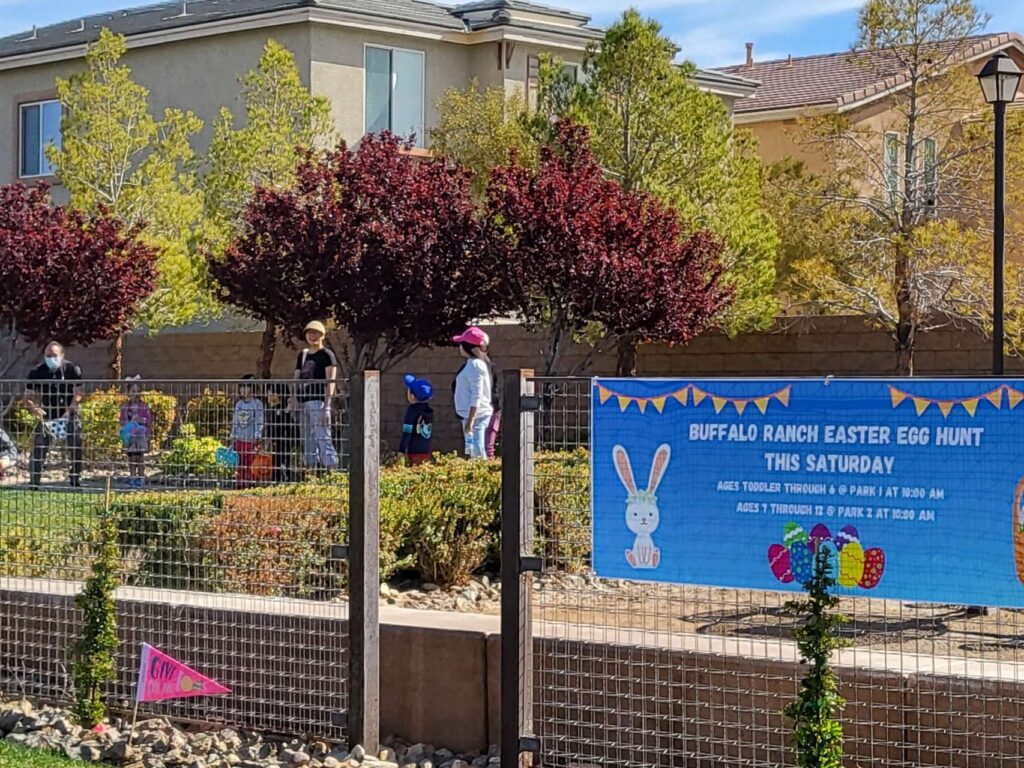 A colorful banner with the word newsletter written in it.