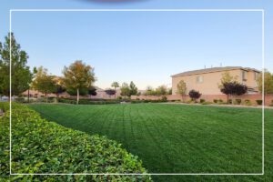 A yard with green grass and bushes in front of it.