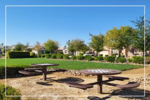 A park with picnic tables and a lawn.