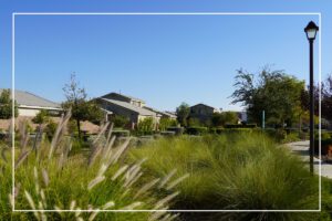 A grassy area with trees and houses in the background.