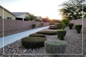 A walkway with bushes and trees in the background.