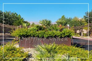 A sign that says buffalo ranch in front of some bushes.