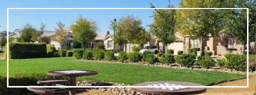 A yard with grass and trees in the background.